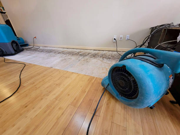 Professional Water Removal technician working in Derry, NH